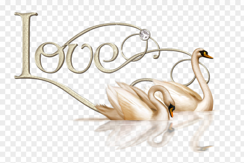 Valentine Love Swans Clipart PNG