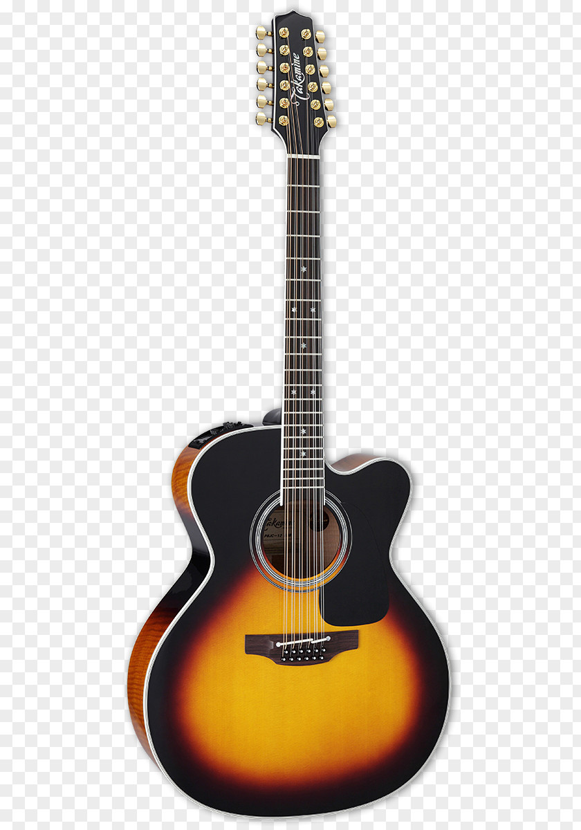 Acoustic Resonance Takamine Guitars Acoustic-electric Guitar Twelve-string PNG