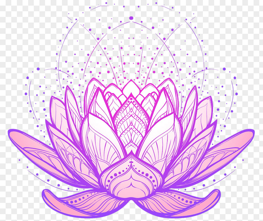 Design Drawing Nelumbo Nucifera Royalty-free PNG