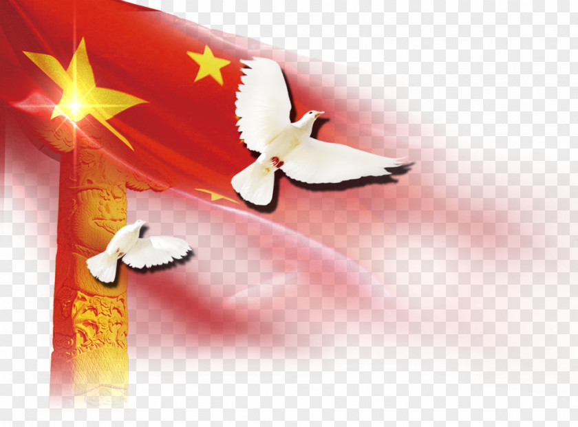 Red Wings Of A Dove Download Column Huabiao Icon PNG