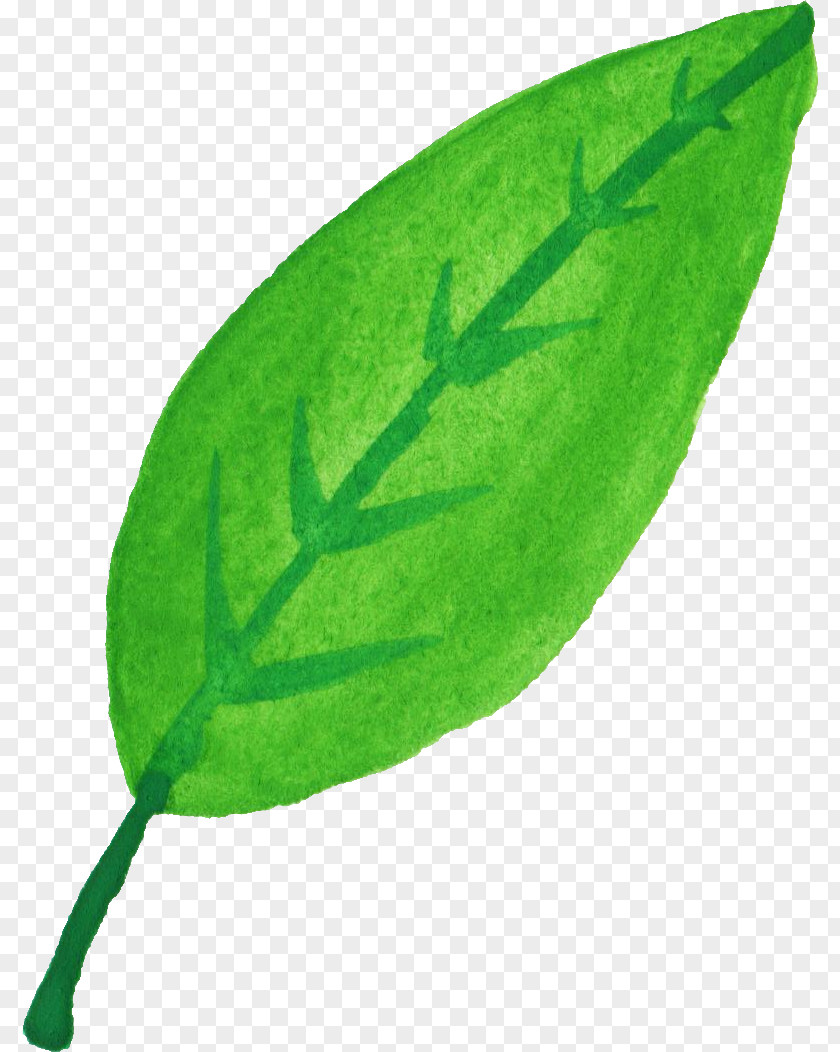 Watercolor Leaves Leaf Plant Stem PNG