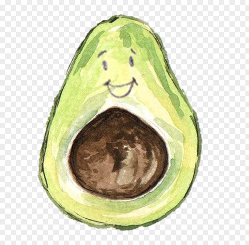 30 Avocado Watercolor Painting Clip Art PNG