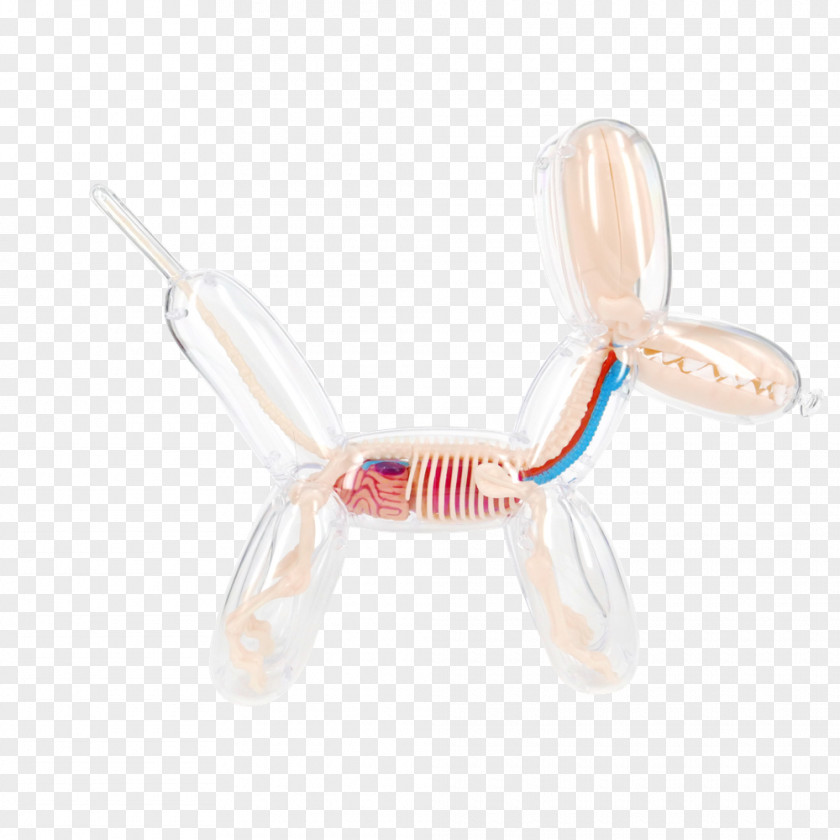 Dog Balloon Anatomy Plastic PNG