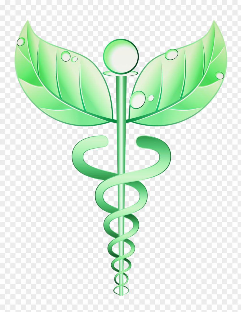 Health Alternative Services Medicine Naturopathy Care Staff Of Hermes PNG