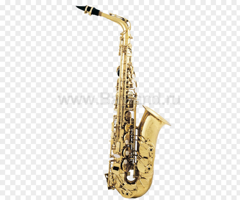 Saxophone Alto Musical Instruments Tenor PNG