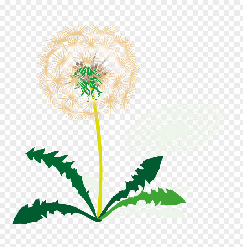 Username Taraxacum Sect. Ruderalia Gospodarowanie Germany Clip Art PNG