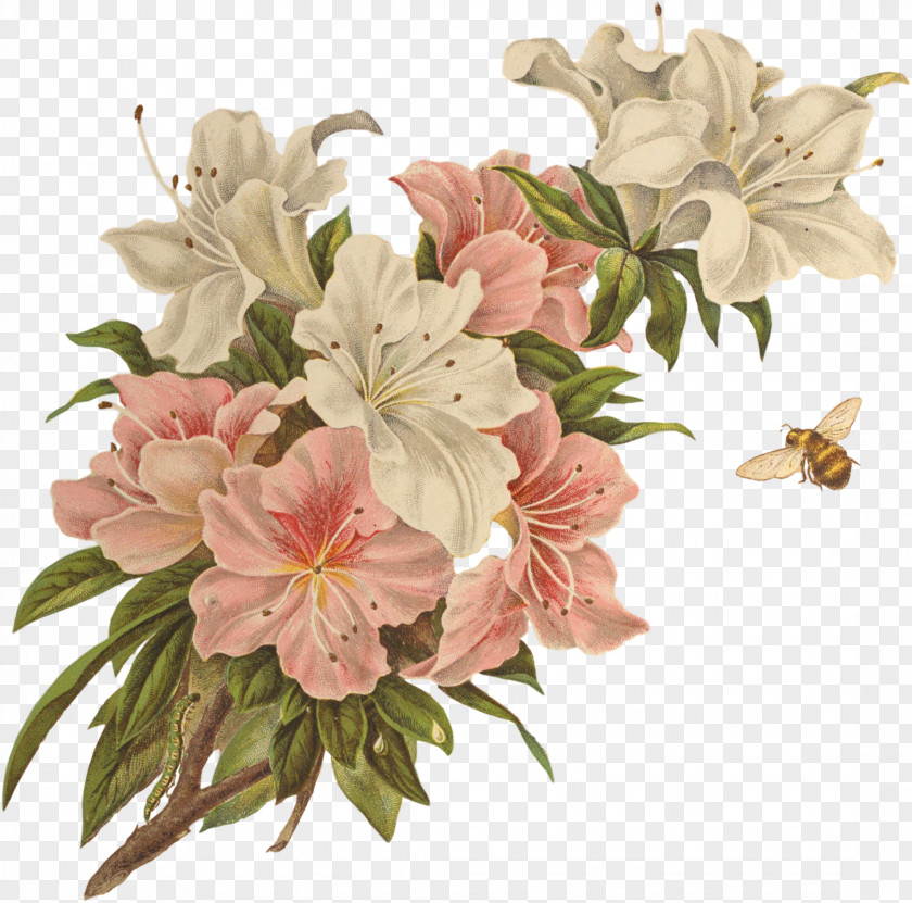 Vintage Floral Flower Design Clip Art PNG