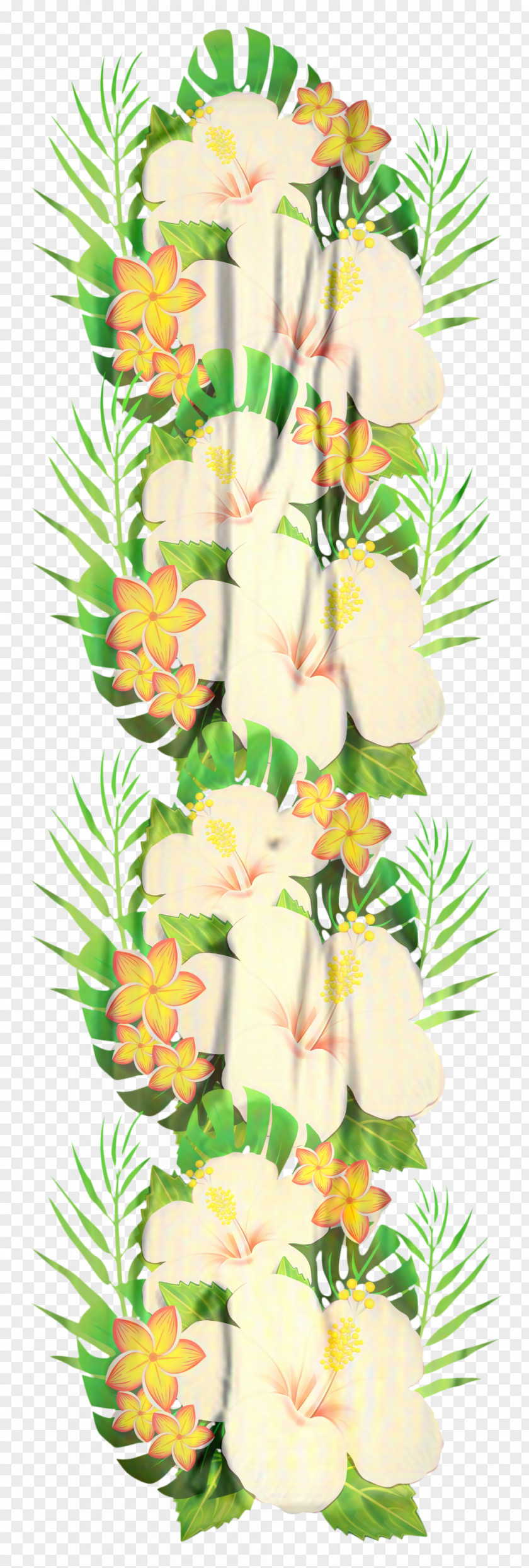 Anthurium Floristry Flowers Background PNG