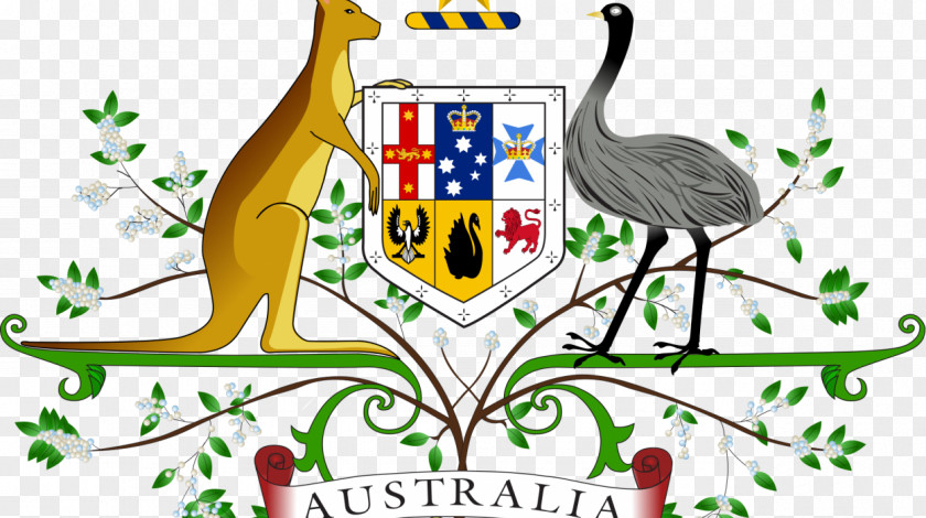 Australia Coat Of Arms National Symbols Flag PNG