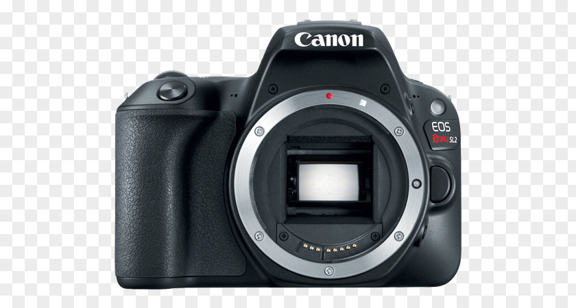 Canon EF-S 18–55mm Lens EOS 100D 5D Mark IV Mount Digital SLR PNG