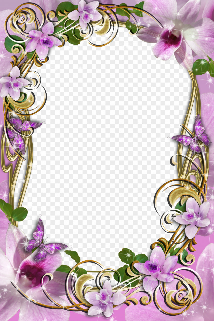 Delicate Frame Cliparts Picture Frames Molding Clip Art PNG