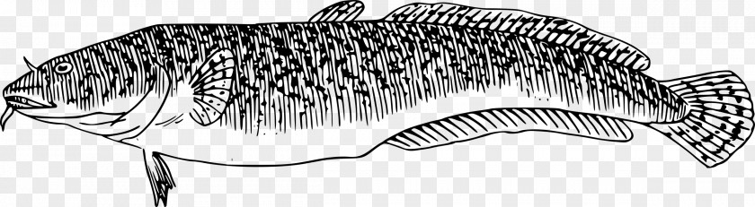 Fish Clip Art PNG