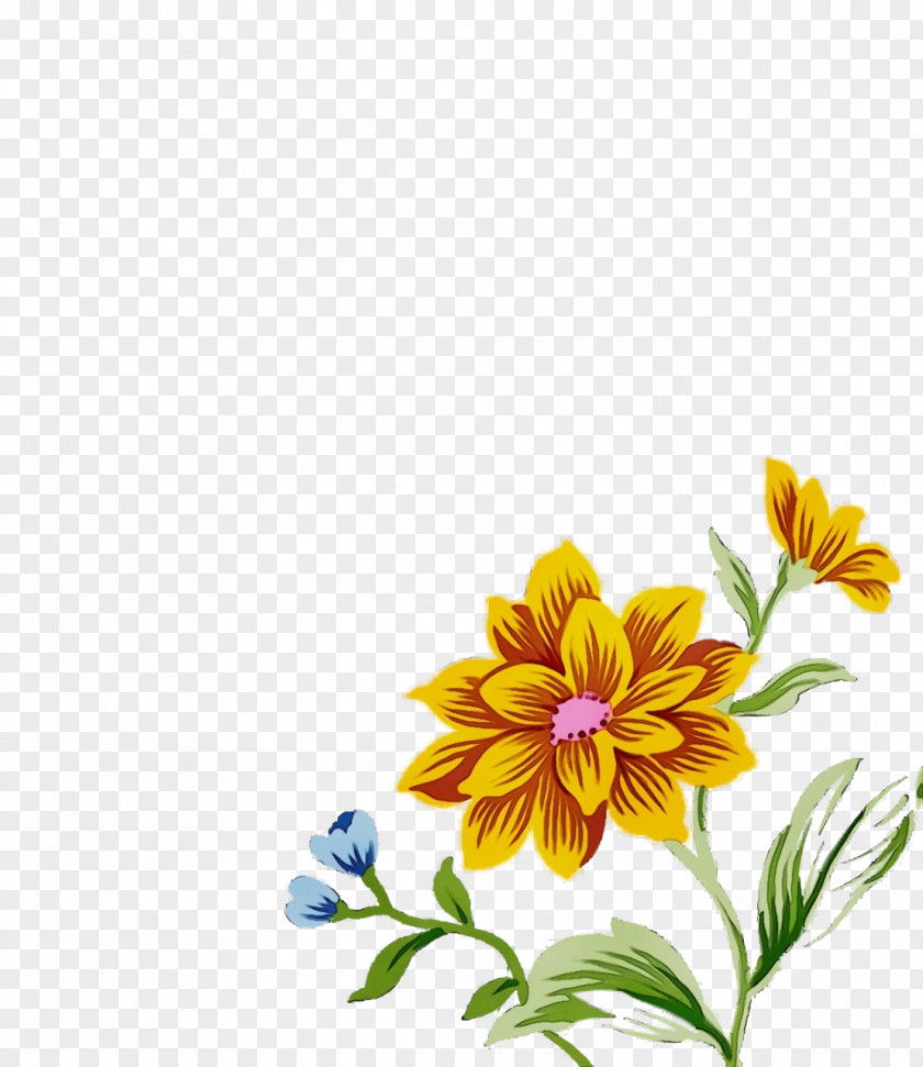 Floral Design PNG