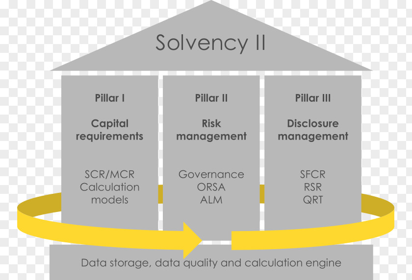 Process Automation Solvency II Directive 2009 Own Risk And Assessment Insolvency Ratio Management PNG