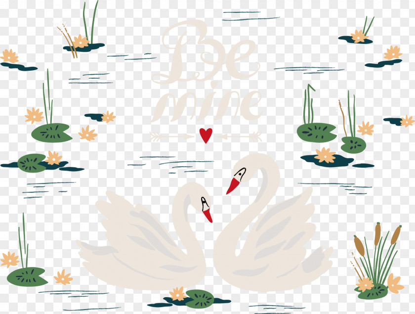 White Swan Black Royalty-free Illustration PNG