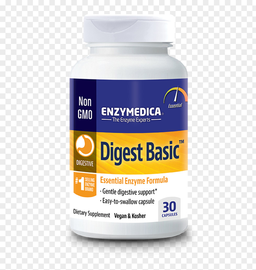 Dietary Supplement Digestive Enzyme Digestion Probiotic PNG