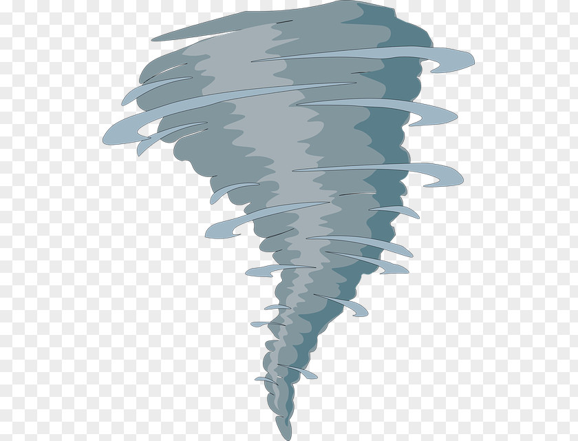 Feather Drawing Tornado Cartoon PNG