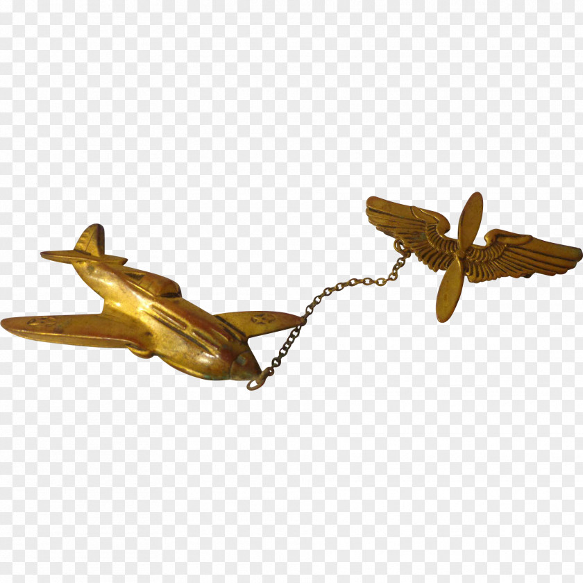 Insect Propeller Wing PNG