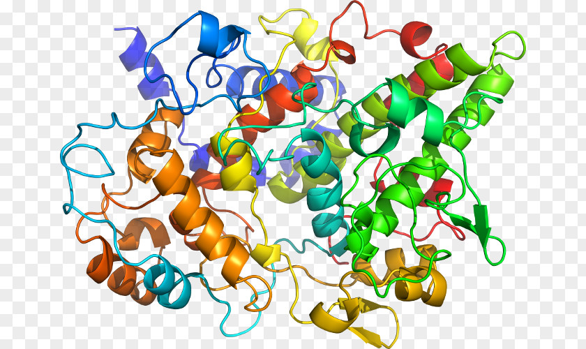 Prostaglandin D2 Hemoglobin C HBB Hemoglobin, Alpha 1 Protein PNG