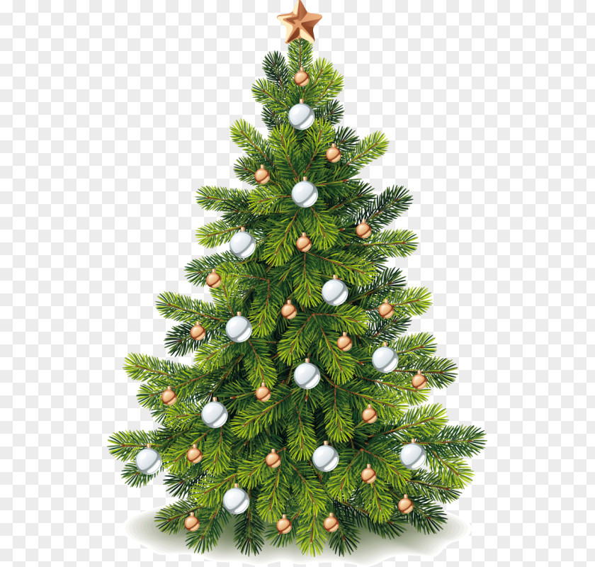 Couronne De Fleurs Christmas Tree Ornament Pine PNG