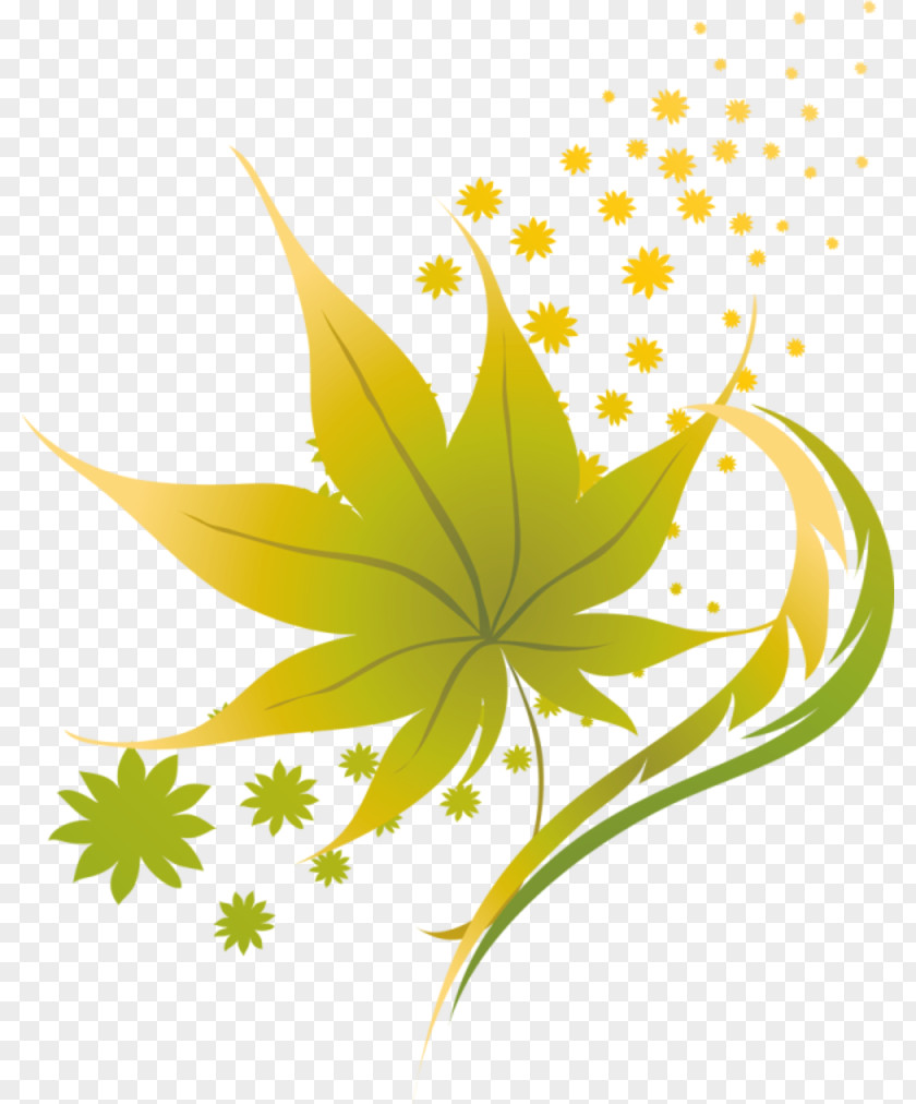 Leaf Maple Clip Art PNG