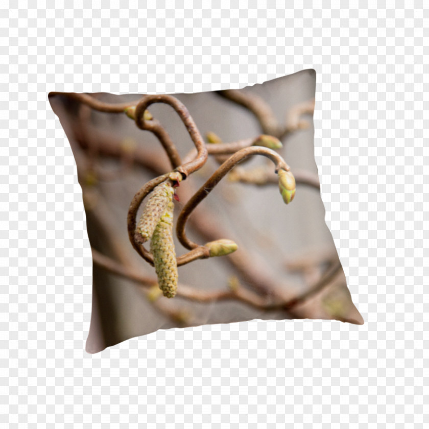 Pillow Throw Pillows Cushion PNG