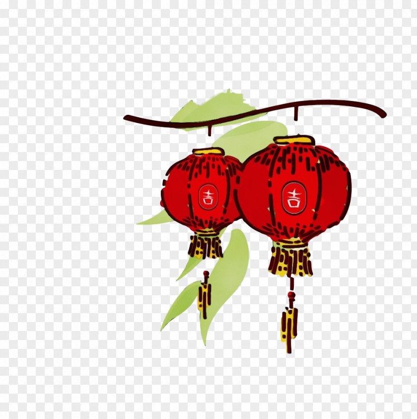 Red Plant Flower Fruit PNG