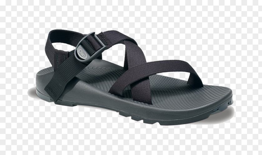 Sandal Shoe Chaco Strap Sneakers PNG