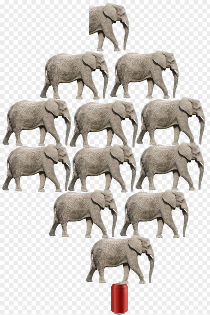 Sheep African Elephant Indian Herd Art PNG