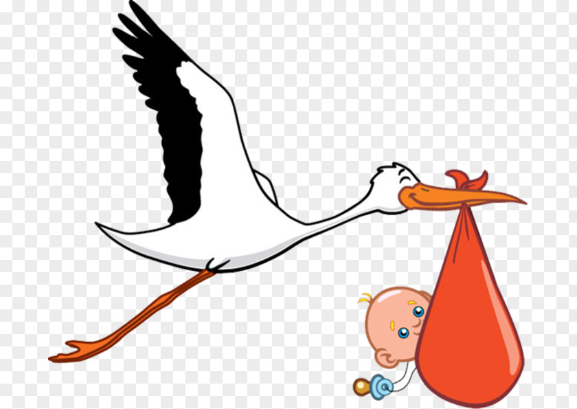 Stork White Infant Childbirth Clip Art PNG