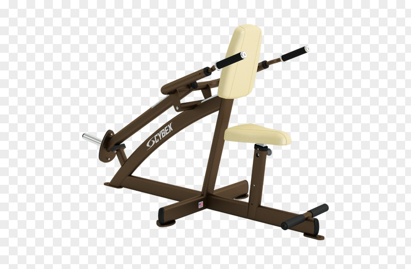 Triceps Exercise Equipment Fitness Centre Cybex International Machine PNG