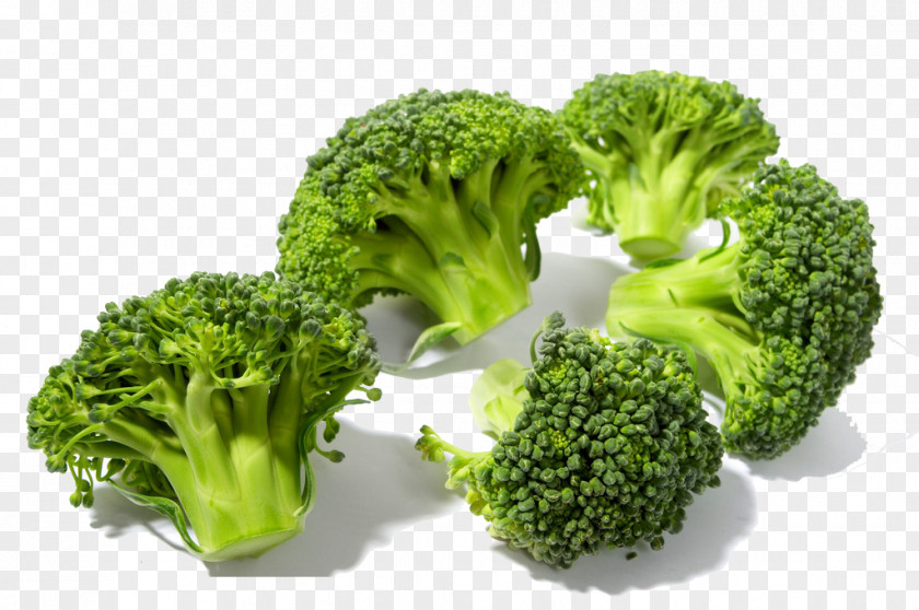 Broccoli Cauliflower Brussels Sprout Kohlrabi Species PNG