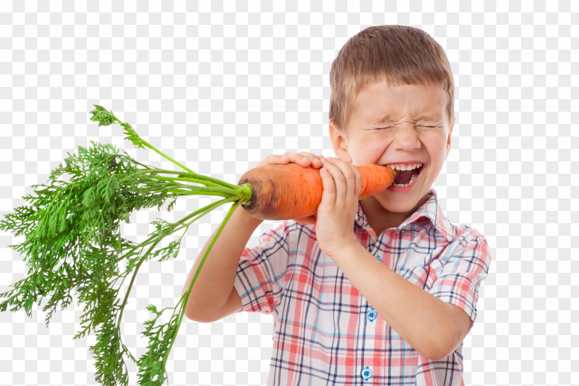 Carrot Eating Stock Photography Vegetable Food PNG