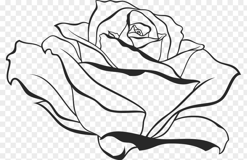 Drawing Rose Vector Graphics Clip Art Illustration Image PNG