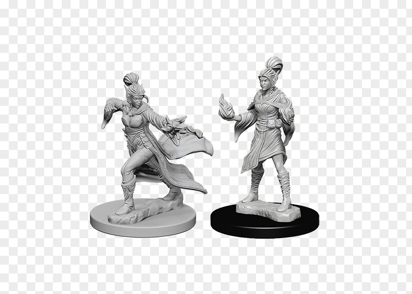 Elf Pathfinder Roleplaying Game Dungeons & Dragons Miniatures Sorcerer Miniature Figure PNG