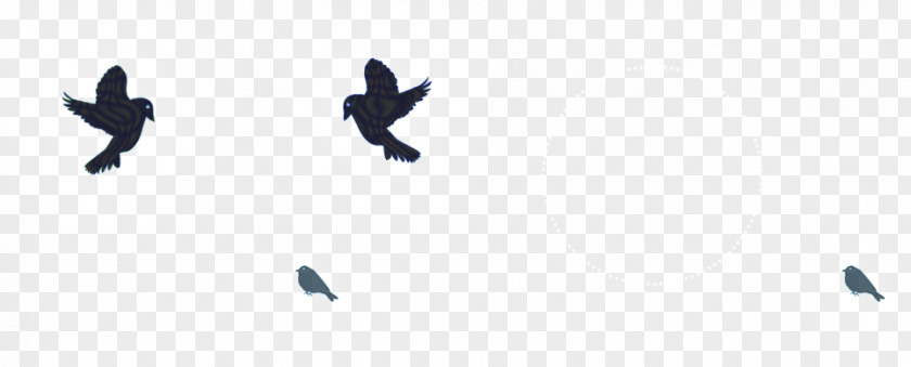 Sparrow Pattern PNG