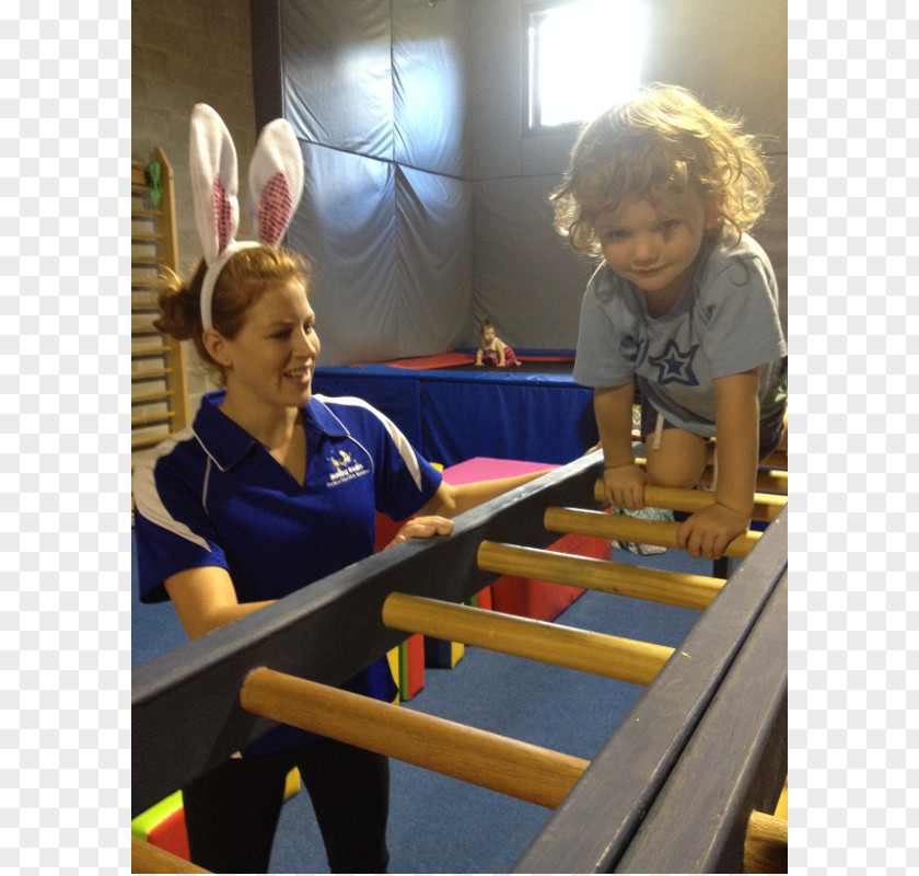 Climbing Lessons Moving Bodies Centre Toddler Child Hornsby Fitness PNG