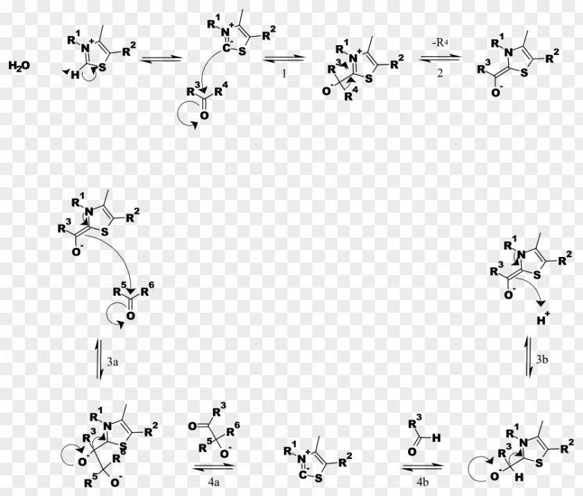 Common Berthing Mechanism Thiamine Pyrophosphate Transketolase Reaction Chemical Chemistry PNG