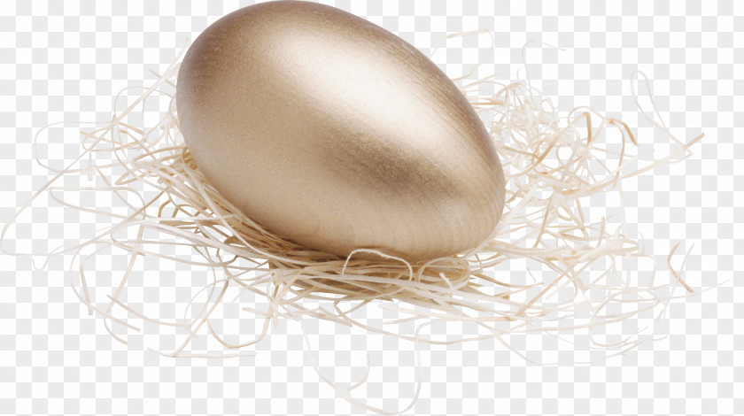 Eggs Egg Food Clip Art PNG