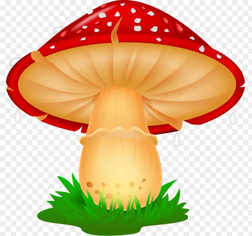 Frog Mushroom Clip Art PNG