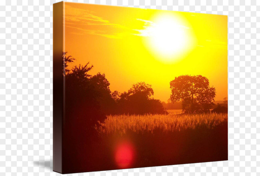 Setting Sun Heat Sunlight Kolej Tuanku Ja'afar Picture Frames Morning PNG