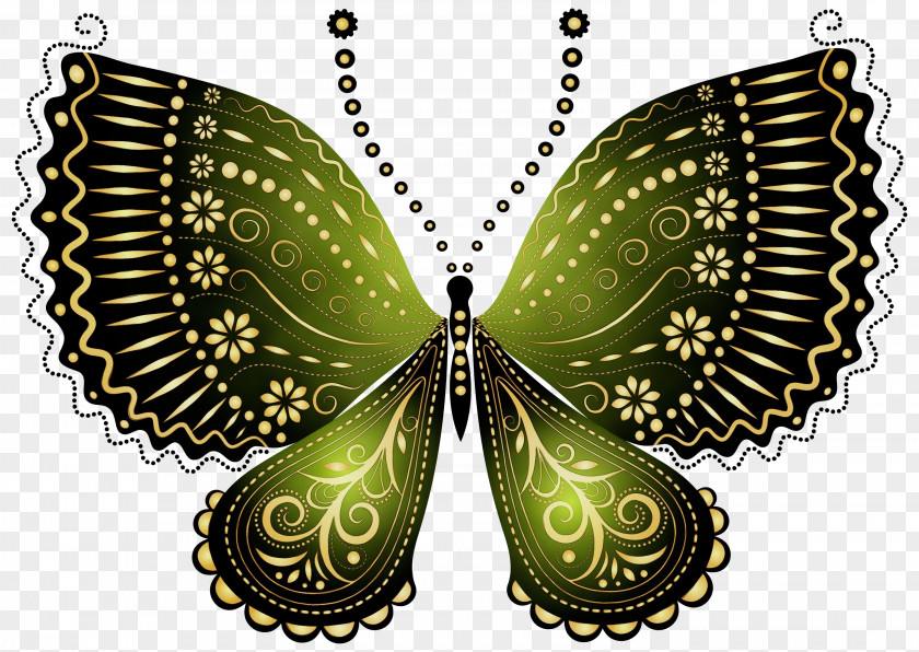 Symmetry Pollinator Insect Butterfly Moths And Butterflies Wing Clip Art PNG