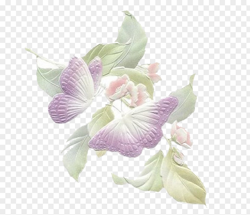 Butterfly Flower Butterflies And Moths Art PNG