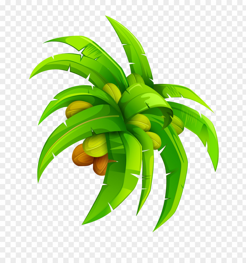 Cartoon Coconut Leaf Vector Euclidean PNG