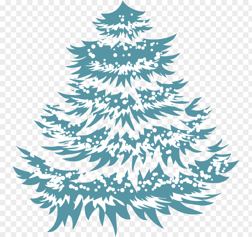 Christmas Tree Fir PNG