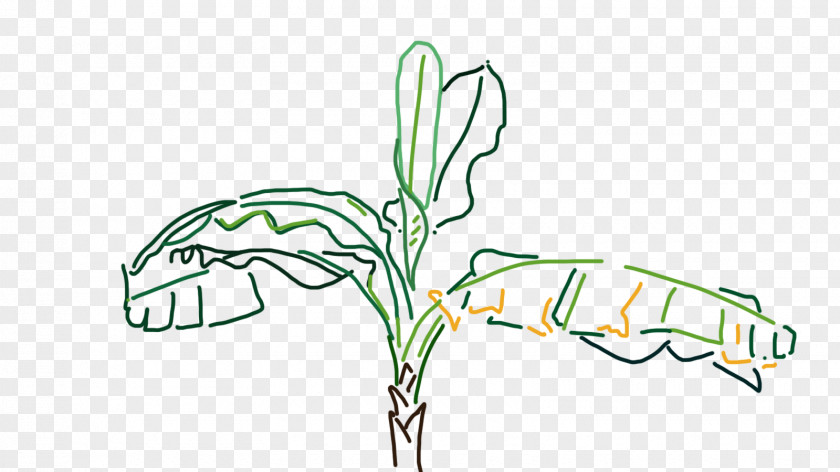 Lasso Leaf Email Plant Tree Clip Art PNG