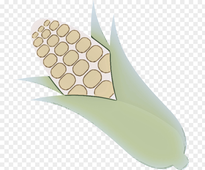 Perennial Plant Vegetarian Food Hand Clip Art PNG