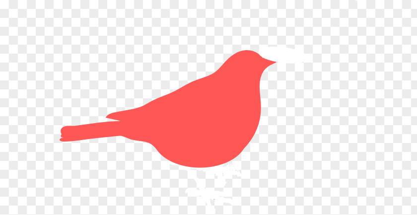 Sparrow Cliparts Beak Logo Brand Font PNG