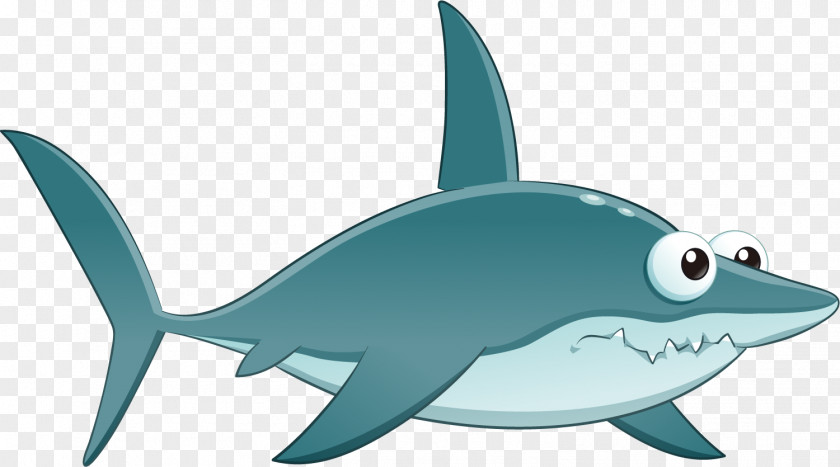 Blue Shark Great White Dolphin Illustration PNG
