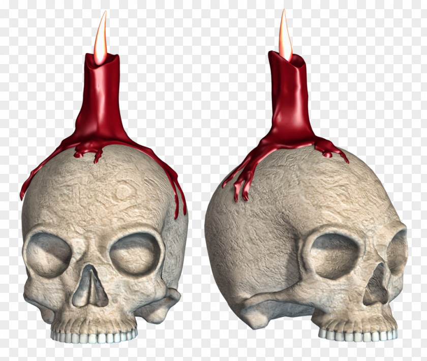 Creative Skull Bone Skeleton PNG